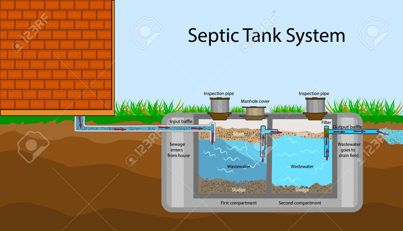 septic diagram from kitchen sink